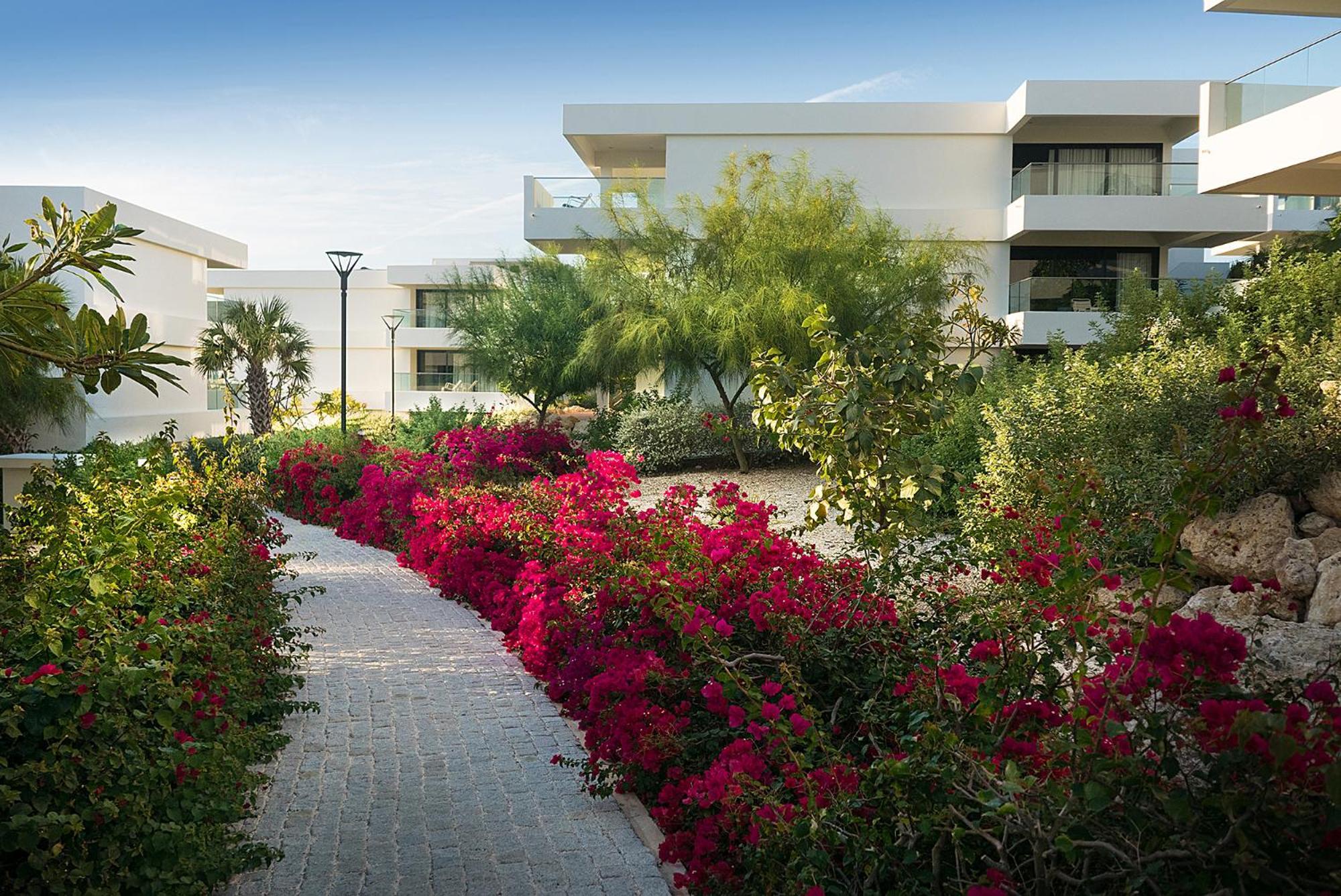 Papagayo Beach Hotel (Adults Only) วิลเลมสตัด ภายนอก รูปภาพ